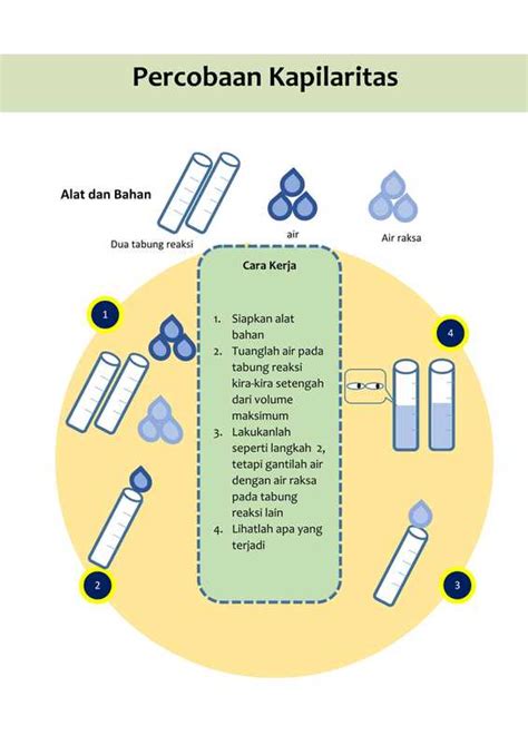 Proses dan Contoh Kapilaritas - wintechmobiles.com
