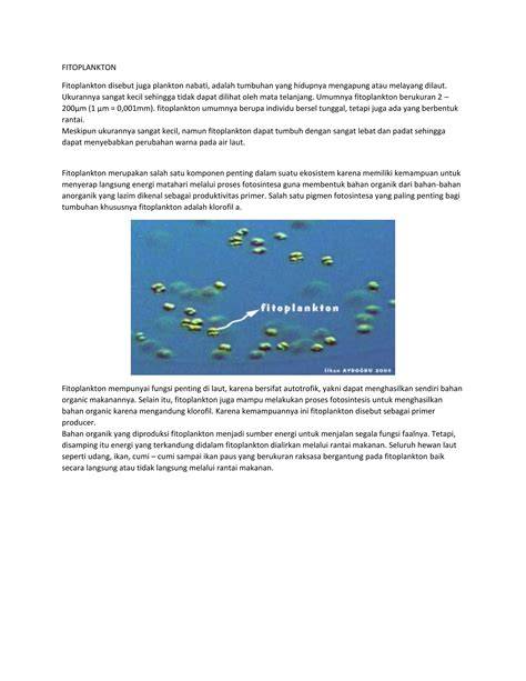 Proses Fotosintesis Fitoplankton Laut | PDF - Scribd - raincitystudios.com