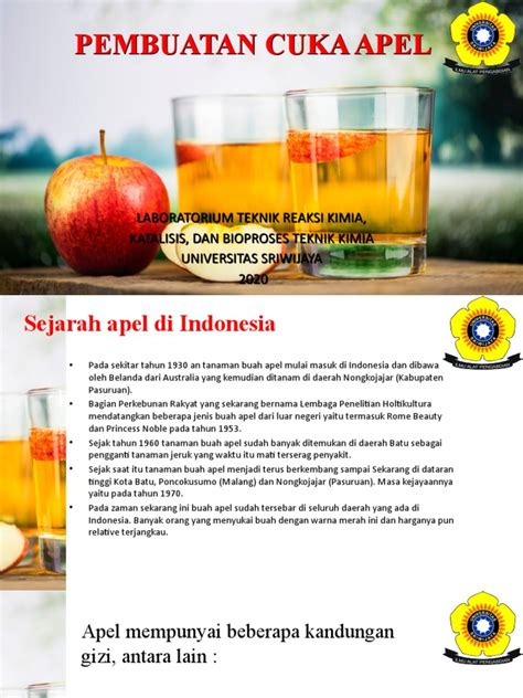 Proses Pembuatan Cuka Apel Fermentasi - Scribd - wintechmobiles.com