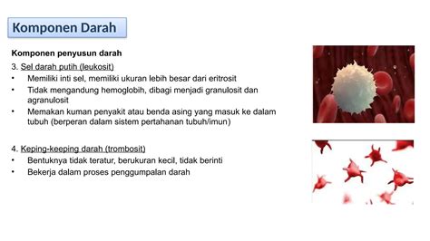 Proses Pembuatan Komponen Darah | PDF | Sains - wintechmobiles.com