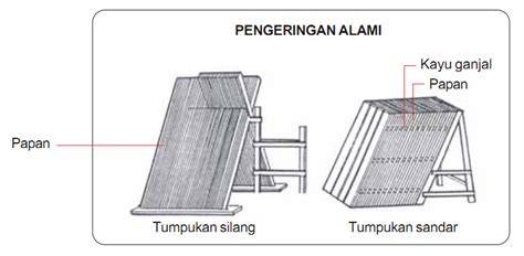 Proses Pengeringan Kayu Alami - raincitystudios.com