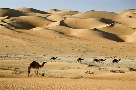 Proses Terbentuknya Gurun Pasir - wintechmobiles.com