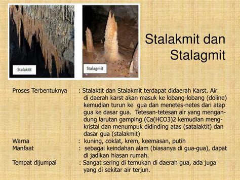 Proses Terbentuknya Stalaktit dan Stalagmit - wintechmobiles.com