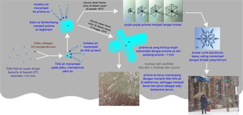 Proses Terjadinya Salju dan Fakta-faktanya - wintechmobiles.com