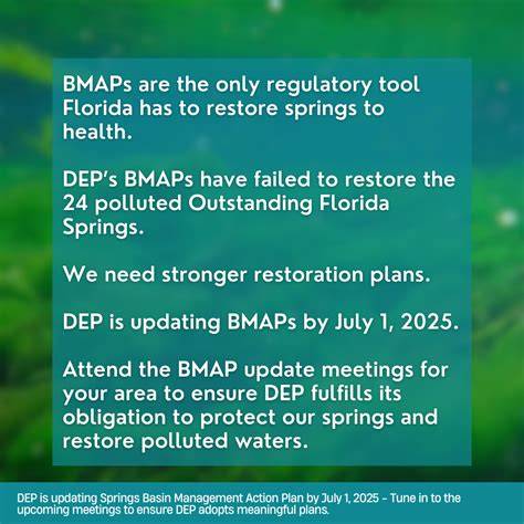 Protect and Restore Springs - Florida Department of Environmental ... - raincitystudios.com