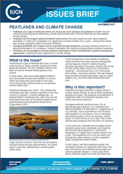 Protect peatlands to achieve climate goals | Science - muktibox.com