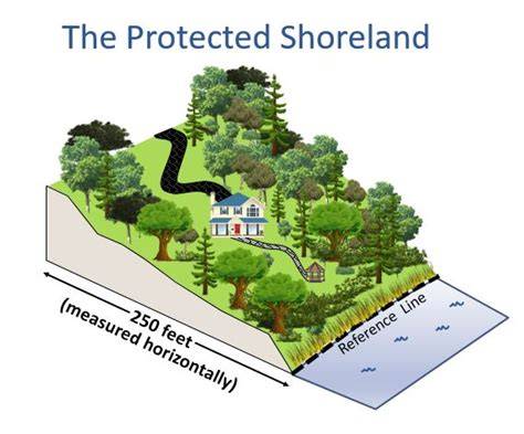 Protected Shoreland FAQ - NH Department of … - raincitystudios.com