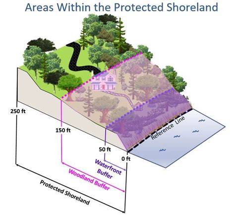 Protected Shoreland - NH Department of … - raincitystudios.com