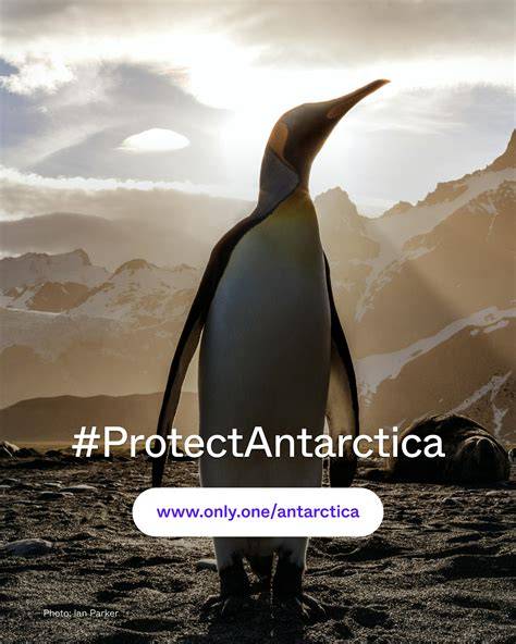 Protecting Antarctica - Antarctic and Southern Ocean Coalition - raincitystudios.com