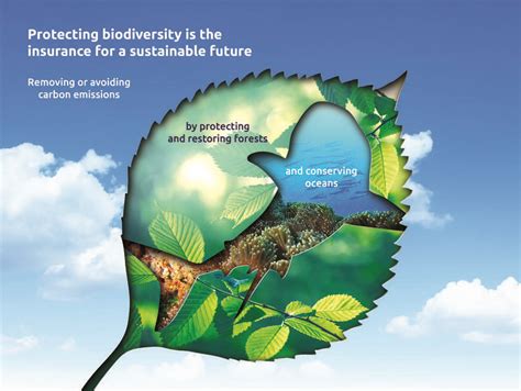 Protecting Biodiversity for a Sustainable Future - raincitystudios.com