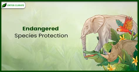 Protecting Endangered Apes through Habitat Preservation and … - raincitystudios.com