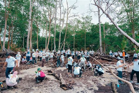 Protecting Fiji’s Mangroves with Local Communities - raincitystudios.com