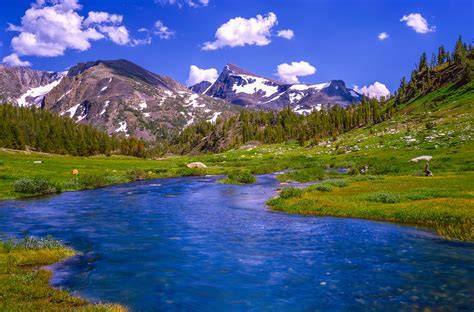 Protecting Headwaters: - Stroud Water Research Center - raincitystudios.com