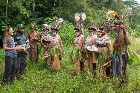 Protecting Indigenous Forest Rights in Papua New Guinea - raincitystudios.com