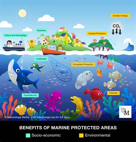 Protecting Ocean Habitats and Fish Migration | NOAA … - raincitystudios.com