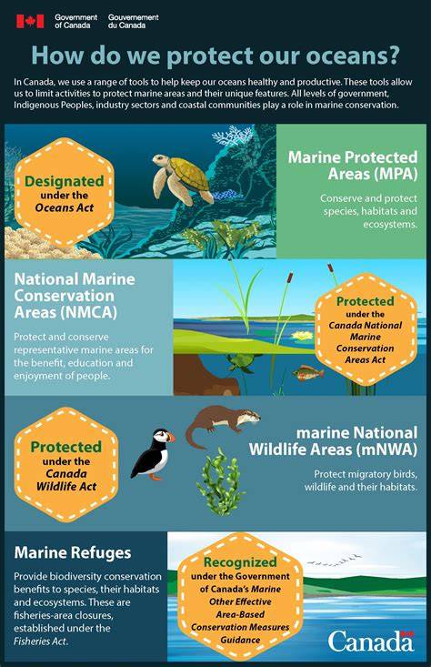 Protecting Oceans: Grant Proposal for Marine Conservation ... - raincitystudios.com