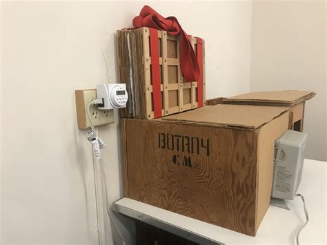 Protecting Plant Specimens from Decomposing - muktibox.com