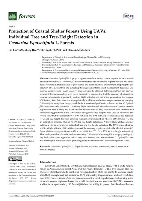Protection of Coastal Shelter Forests Using UAVs: Individual Tree and ... - raincitystudios.com