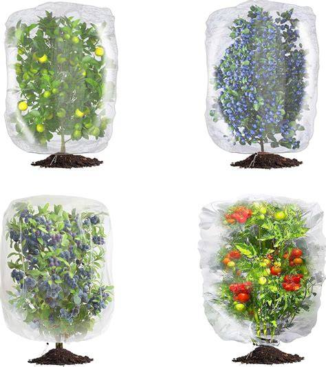 Protective Home Bushes - Tips On Planting Shrubs To … - raincitystudios.com