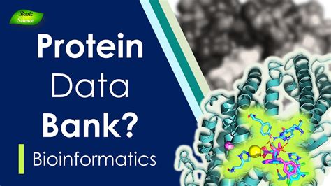 Protein Data Bank - Wikiwand - wintechmobiles.com