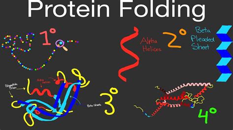 Protein Folding - an overview | ScienceDirect Topics - muktibox.com