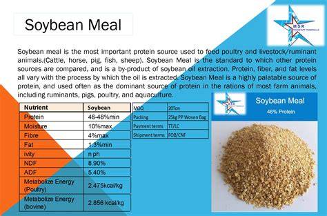 Protein Soybean Meal For Animal Feed - hardware - raincitystudios.com