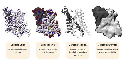 Protein structural visualization - DAV University - coolestguyplanet.net