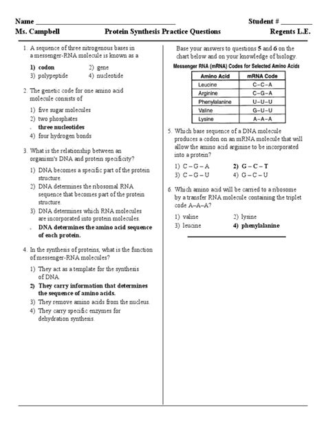 Protein Synthesis Practice Test Test Questions | Quizlet - muktibox.com