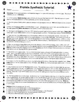 Protein Synthesis Tutorial | Sophia Learning - wintechmobiles.com