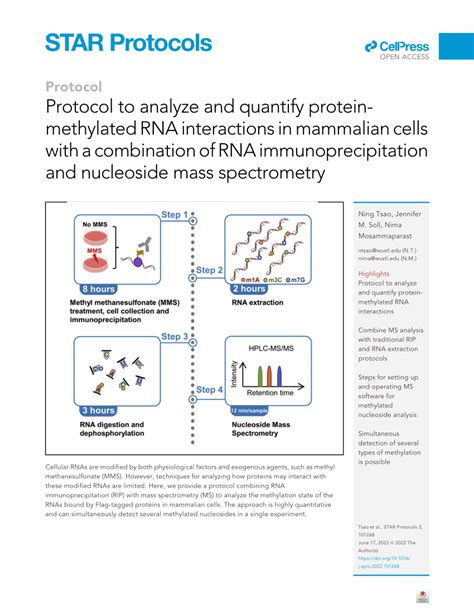 Protocol to analyze and quantify protein-methylated RNA ... - PubMed - wintechmobiles.com