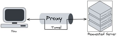 Proxy servers and tunneling - MDN Web Docs - coolestguyplanet.net