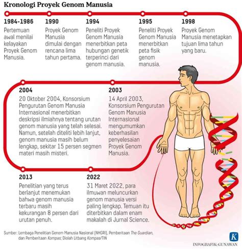 Proyek Genom Manusia - Wikipedia bahasa Indonesia, ensiklopedia … - muktibox.com