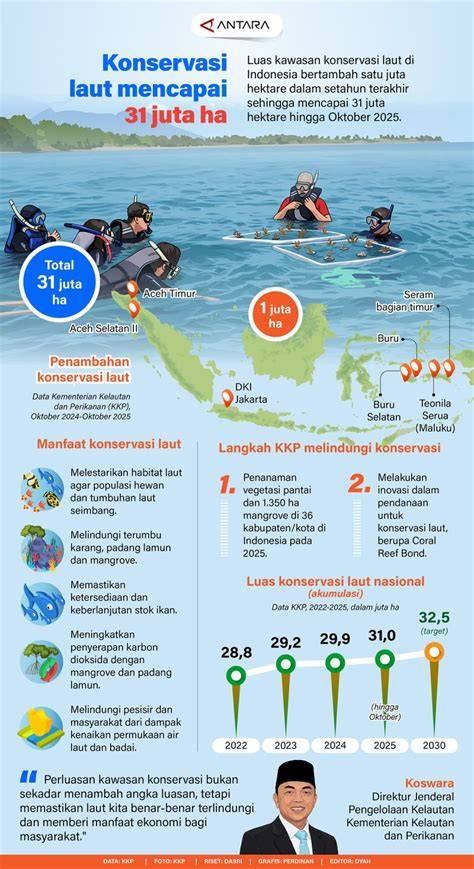 Proyek Konservasi Laut - The Ocean Foundation - raincitystudios.com