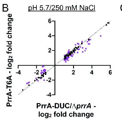 PRRA#3132 (TR) LeagueOfGraphs. 