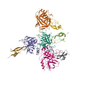 PRSS3 Gene - GeneCards TRY3 Protein TRY3 Antibody