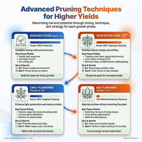 Pruning for Higher Yields - AGRIVI - raincitystudios.com