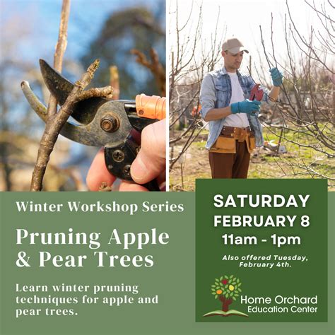 Pruning the Home Orchard - New Mexico State University - raincitystudios.com