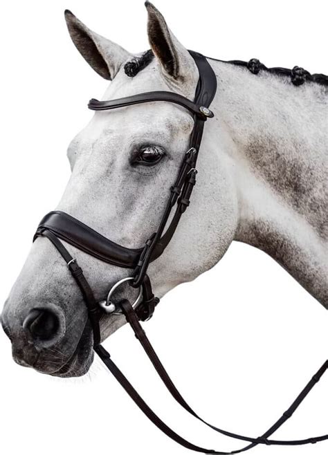 PS of Sweden Bridle, Paladin - Royal Equestrian