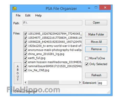 PSA File Organizer for Windows