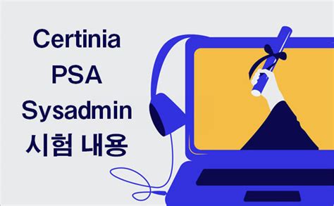PSA-Sysadmin Online Praxisprüfung