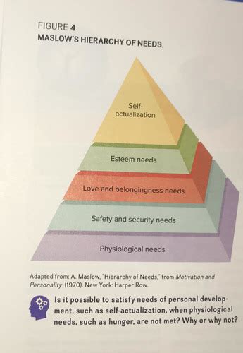 PSY 150 Practice Test 4 Flashcards | Quizlet - wintechmobiles.com