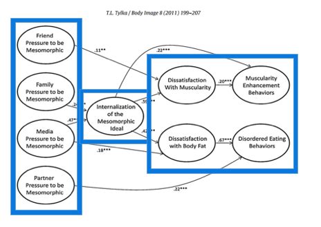 PSYCH 134 Chapter 5 Flashcards