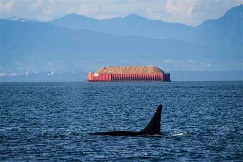 PTGuide Guide to Port Townsend