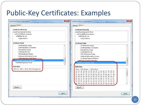 Public key certificate - coolestguyplanet.net