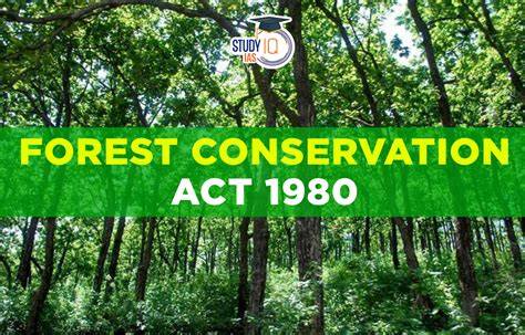 Public policies and global forest conservation ... - ScienceDirect - raincitystudios.com