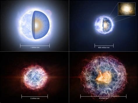 Pulsar-Wind Nebulae | Space Science Reviews - Springer - muktibox.com