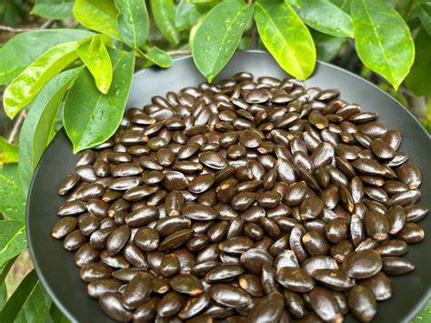 pulverized soursop seeds as sprays - tablesandthyme.co.za - raincitystudios.com