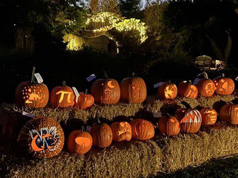Pumpkin Pollinators - Penn State Extension - raincitystudios.com