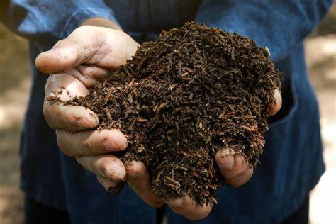 Pupuk Organik | Vermicompost | Kascing | 3000gr - Shop - raincitystudios.com