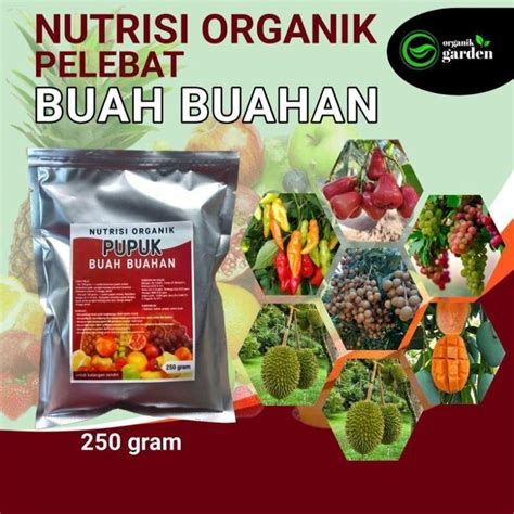 Pupuk Pelebat Buah Buahan melebatkan secara maksimal Manfaat ... - raincitystudios.com
